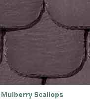 Mulberry Scallops